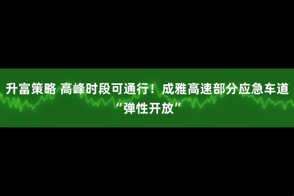升富策略 高峰时段可通行！成雅高速部分应急车道“弹性开放”